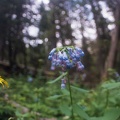 Baker Gulch Trail